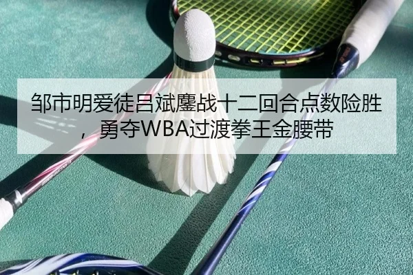 zou-shi-ming-ai-tu-lv-bin-ao-zhan-shi-er-hui-he-dian-shu-xian-sheng-yong-duo-guo-du-quan-wang-jin-yao-dai-2-600.jpg
