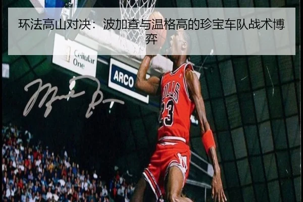 环法高山对决：波加查与温格高的珍宝车队战术博弈