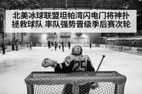 ice hockey playoff game