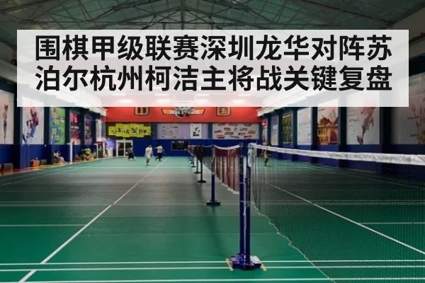 围棋甲级联赛深圳龙华对阵苏泊尔杭州柯洁主将战关键复盘